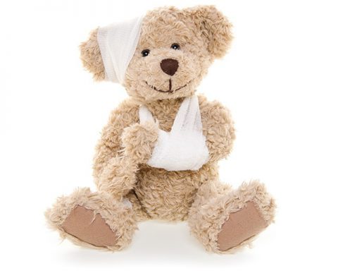 bear plush photo